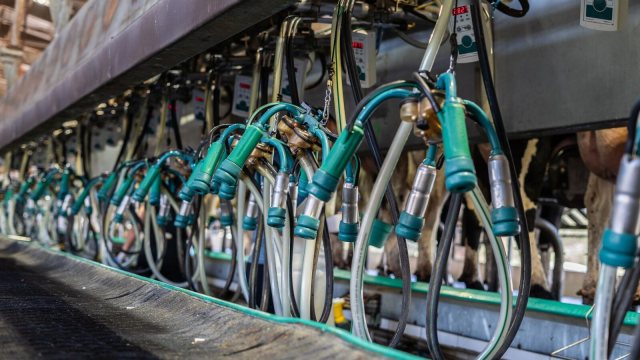 Süt Sağma Motoru: Seçim ve Bakım Rehberi